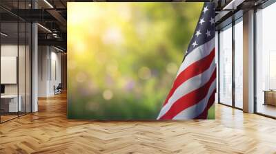 US national flag in park Wall mural