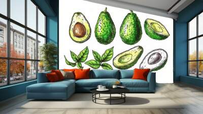 Vector illustration drawing of avocado fruit Wall mural