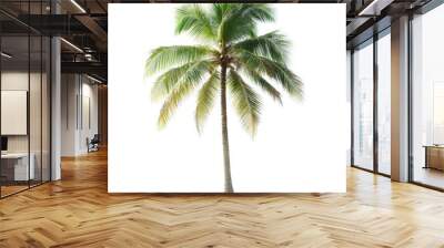 Vector illustration of coconut tree with leaf closeup view Wall mural