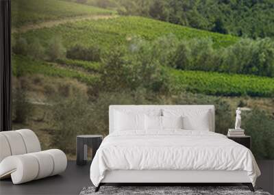 Farmland in Tuscan countryside Wall mural