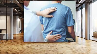 Doctor consulting with patient Back problems Physical therapy concept Wall mural