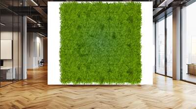 close-up look at fresh green grass Wall mural