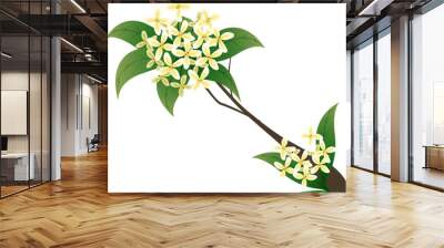 osmanthus with leaf Wall mural