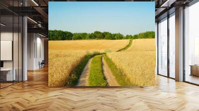 Landscape road wheat field Ukraine Wall mural