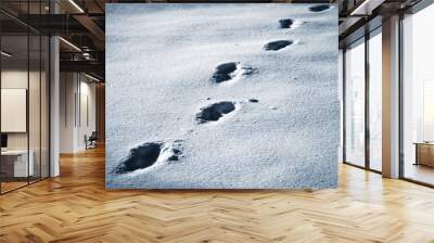 dark footprints walking on snow Wall mural