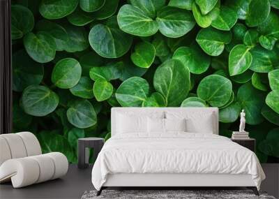 This image shows a close-up of many green leaves. Wall mural