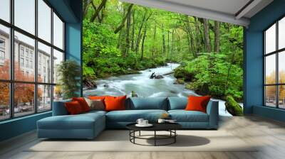 Landscape, Riparian zone, Natural landscape Wall mural