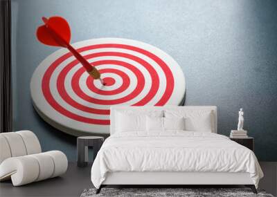 red bullseye dart with red arrow hit center Wall mural