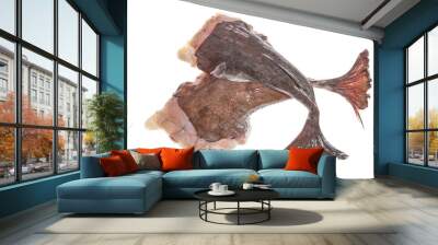 picture of two fresh monkfish tails in front white background Wall mural