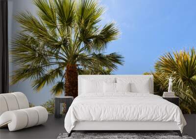 palm garden under a blue sky Wall mural