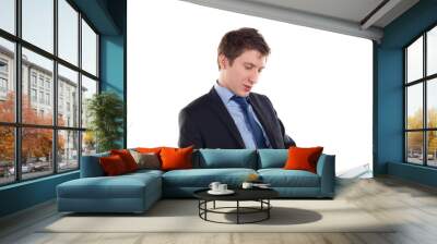 young elegant businessman work Wall mural