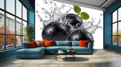 Natural and Fresh Black Bean Bubbly isolated on white background 
 Wall mural