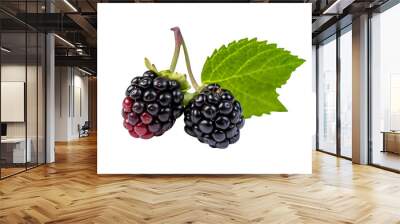 Natural and fresh  blackberries isolated on transparent background Wall mural