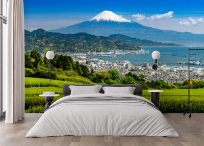 Japanese green tea plantations from Nihondaira and mt. fuji over sea.
 Wall mural