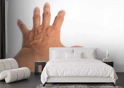 Hand isolated on the white background. Wall mural