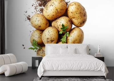 Freshly harvested potatoes with dirt and green parsley leaves, isolated on white background. Ideal for agriculture and food projects. Wall mural