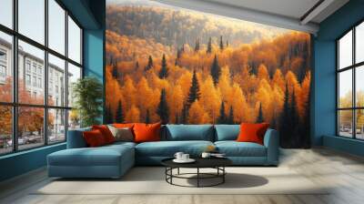 A beautiful autumn forest with trees in various shades of orange Wall mural