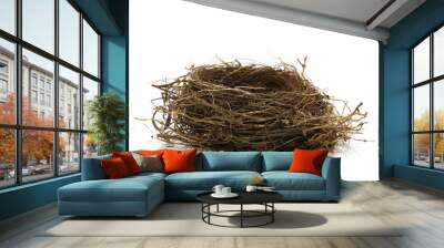 empty bird nest Wall mural