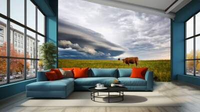 Cows in a field with storm clouds in the background Wall mural