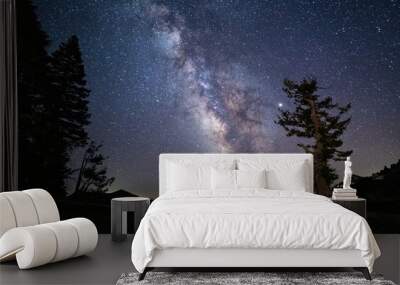 Milky Way galaxy and starry night sky over Crater Lake National Park, Oregon Wall mural