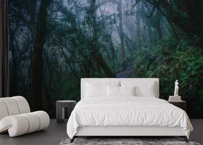 Winding dirt path, lined with lush green trees, leading through a tranquil dark forest in Guatemala Wall mural