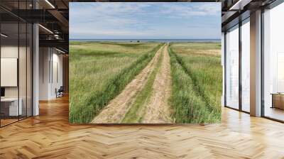 Countryside road to the seaside through the field Wall mural