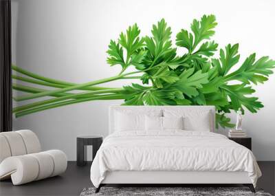 Fresh green parsley isolated on white background. Perfect for cooking, seasoning, and garnish. High-quality herb stock photo. Wall mural