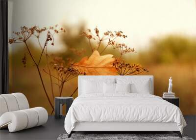 autumn nature background with oak leaf and dry grass. fall seasonal landscape. copy space Wall mural