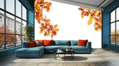 autumn nature background with oak leaves. fall season concept. autumn forest landscape. copy space. banner.  Wall mural