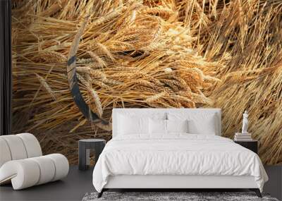 ears wheat and old sickle on field, natural background. Wheat field harvest and ripe wheat straws. harvesting, agriculture concept. top view Wall mural