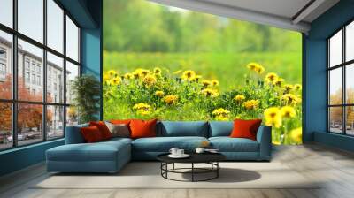 nature background with blooming yellow dandelions. dandelions flower on summer meadow. banner. copy space Wall mural