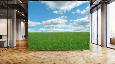 summer rustic nature background with green grass field and blue sky.  Wall mural