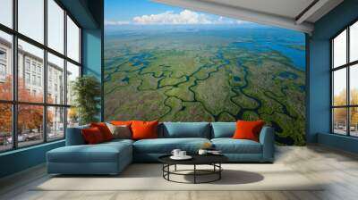 Aerial view, Everglades Natuional Park, FLORIDA, USA, AMERICA Wall mural