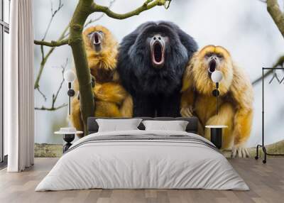 BLACK HOWLER (Alouatta caraya) Wall mural