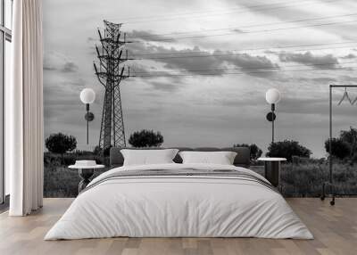 High voltage tower at sunset. Black and white. Wall mural