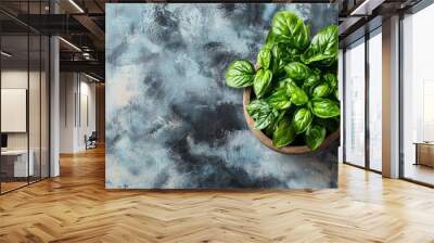 Top view of fresh green basil plant on textured background Wall mural