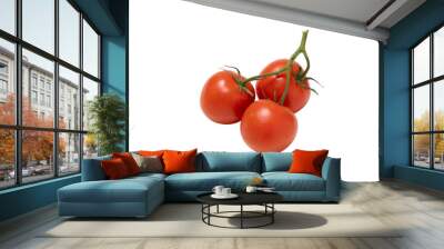 Vine tomatoes on a white background Wall mural