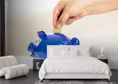 woman's hand putting coin into a blue piggy bank. household Wall mural