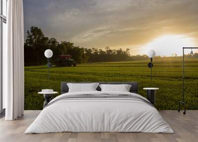 sunset over green field Wall mural