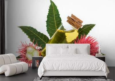 Castor oil plant on white background Wall mural