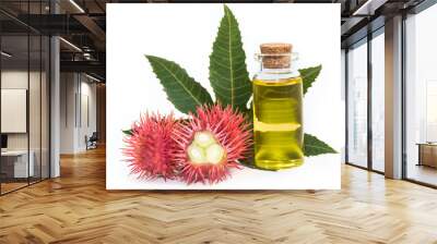 Castor oil plant on white background Wall mural