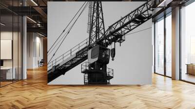 Crane at nigth. Image in black and white. Wall mural