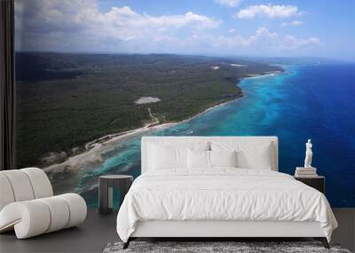 Aerial view of Turquoise waters, beach and the reef in Jamaica Wall mural