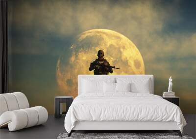 armed soldier guarding Wall mural