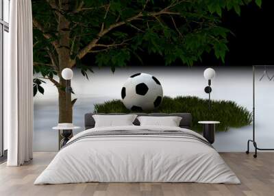 balon y hierba Wall mural