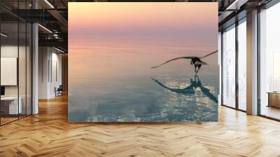 Eagle flying flush with water Wall mural