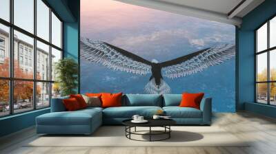 Eagle flying flush with water Wall mural