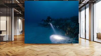 female scuba diver posing in front of coral reef in a night dive Wall mural