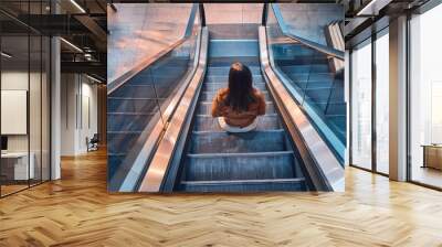 An overhead view of a woman sitting with her back facing the camera on an escalator. Wall mural