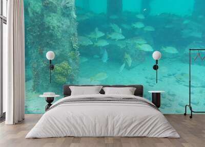 water in swimming pool Wall mural